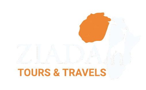 ziadatoursandtravels.com | 